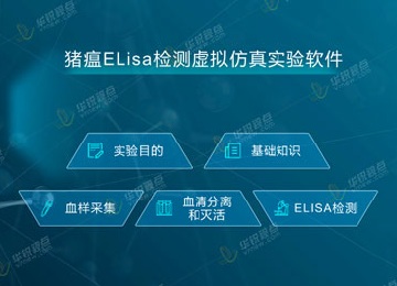 猪瘟ELisa检测VR虚拟仿真实验软件