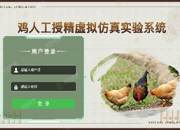 鸡人工授精VR虚拟仿真实验软件