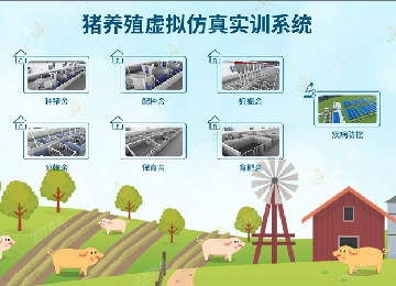 猪养殖VR虚拟仿真教学实训软件