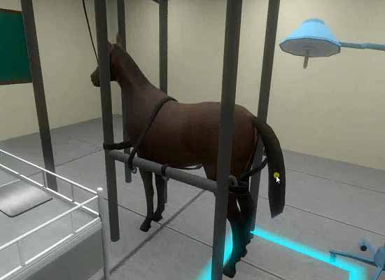 VR医疗教学课件之马牛直肠手术