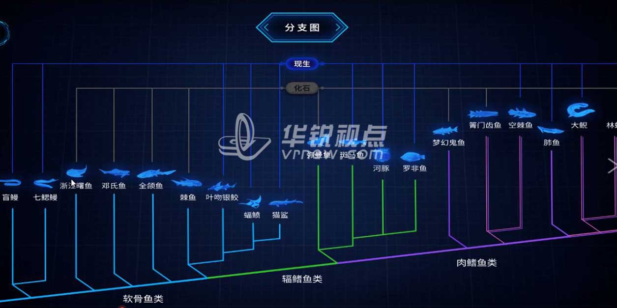 VR动物进化科普展示