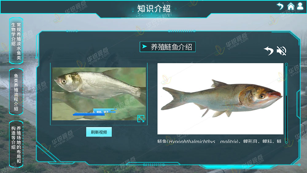 淡水鱼类成鱼养殖虚拟仿真实训系统