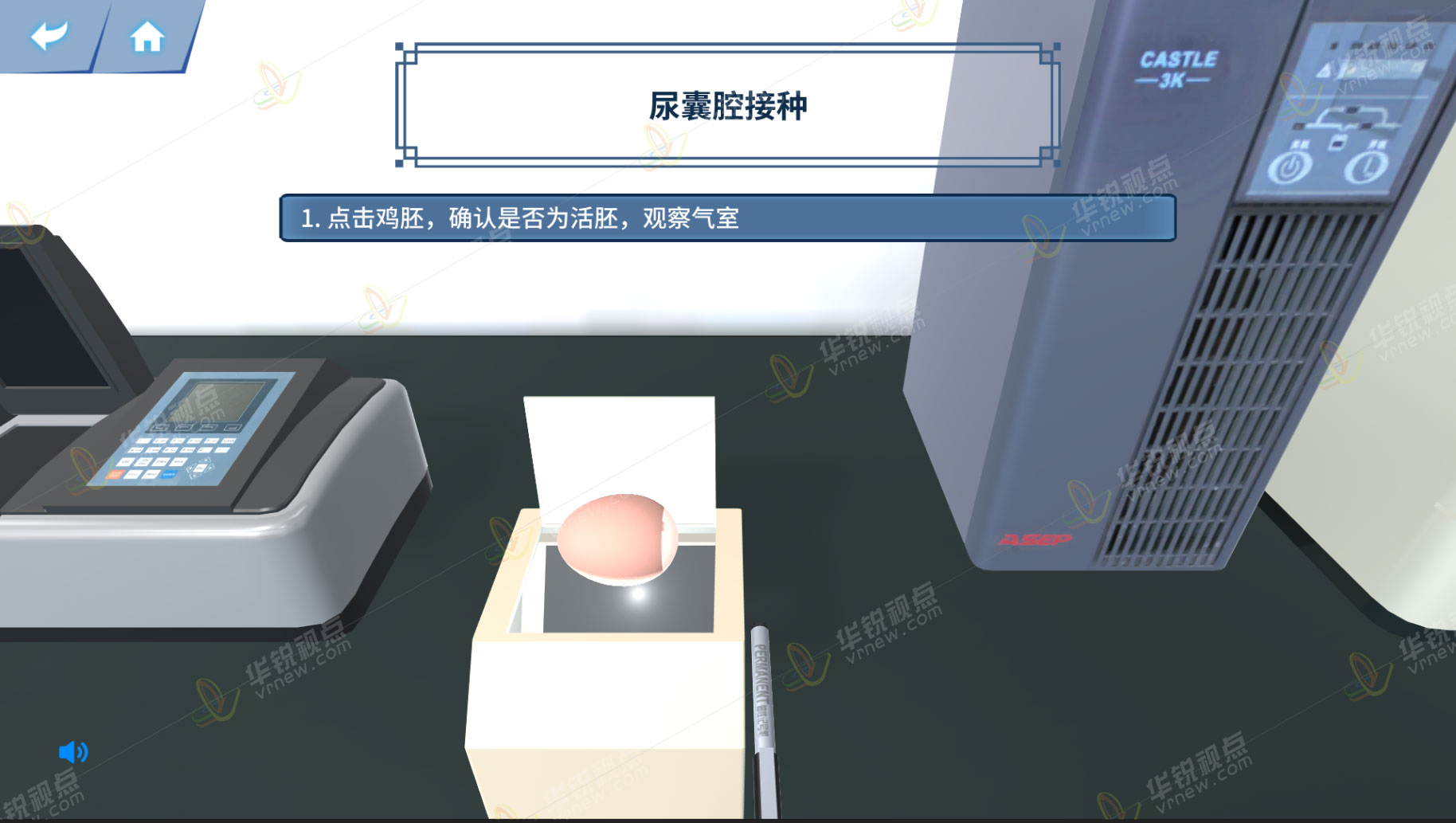 鸡胚接种技术VR虚拟仿真实验软件
