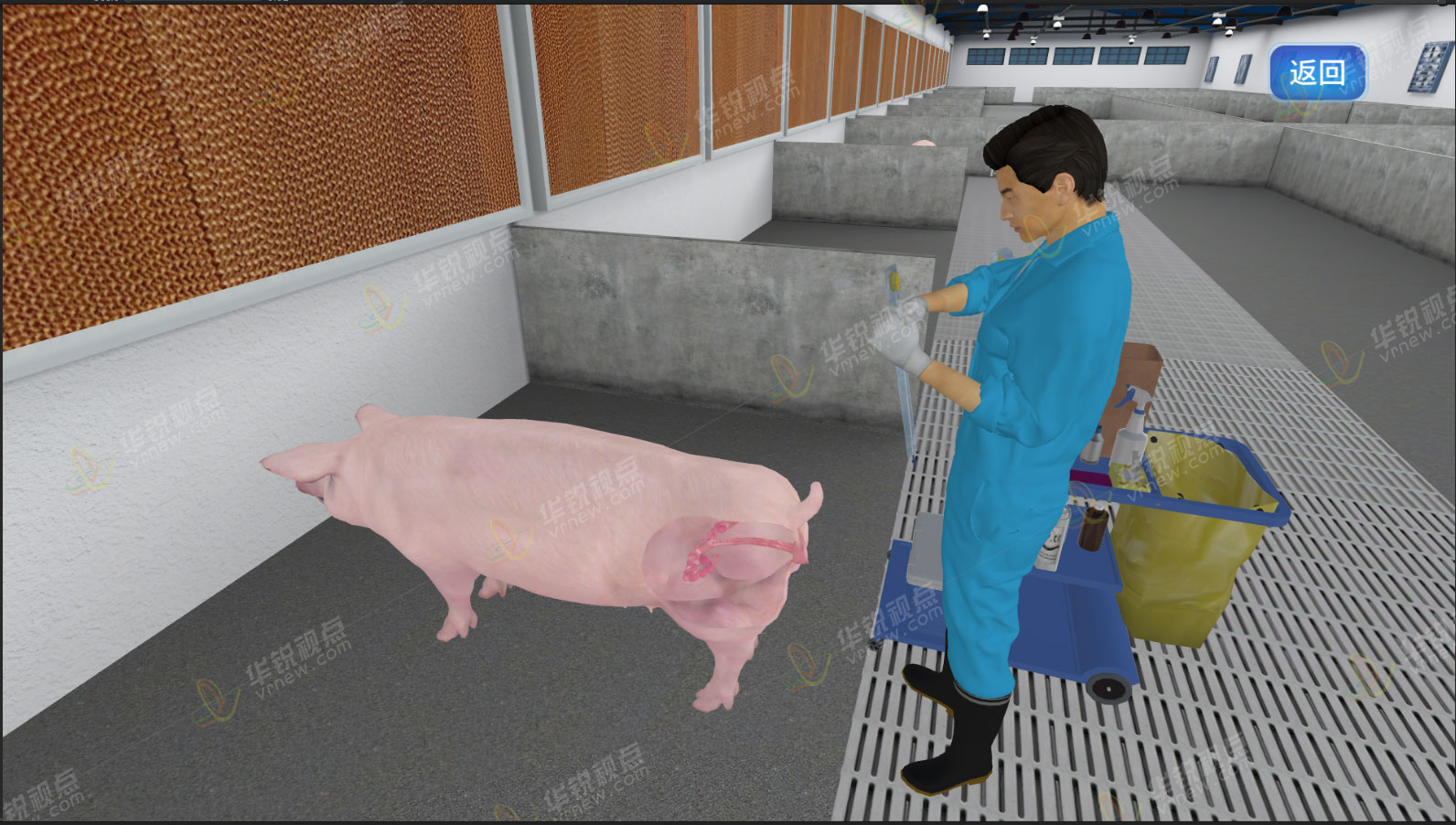 猪养殖VR虚拟仿真实训软件