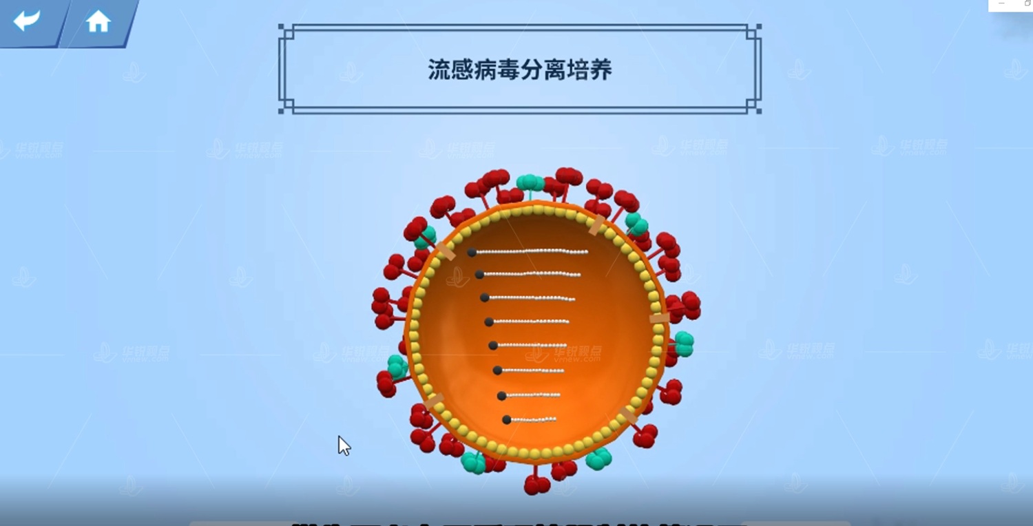 流感病毒分离鉴定VR虚拟仿真实验