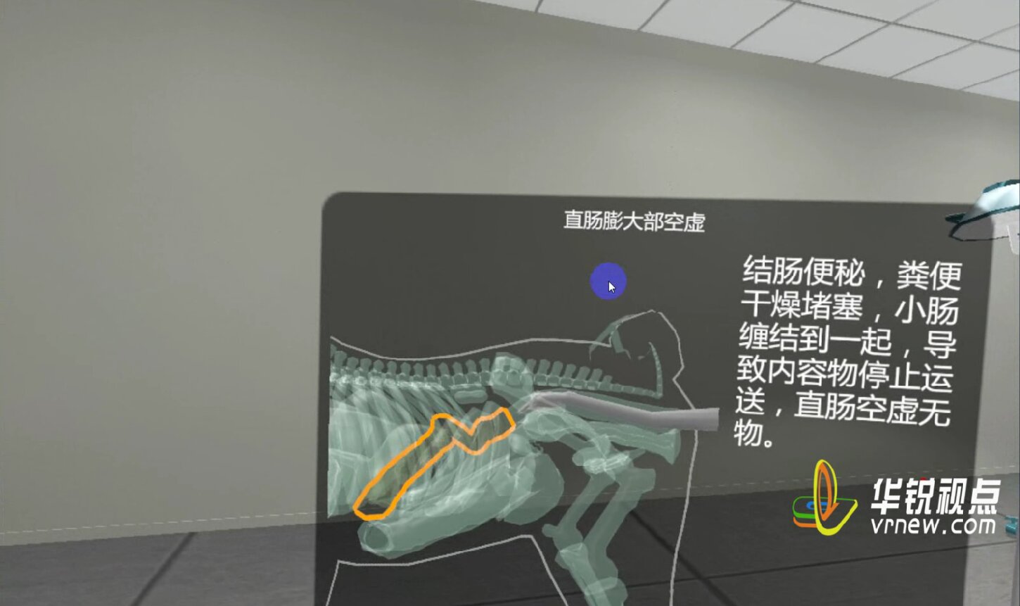 牛马直肠检查/手术VR仿真教学软件